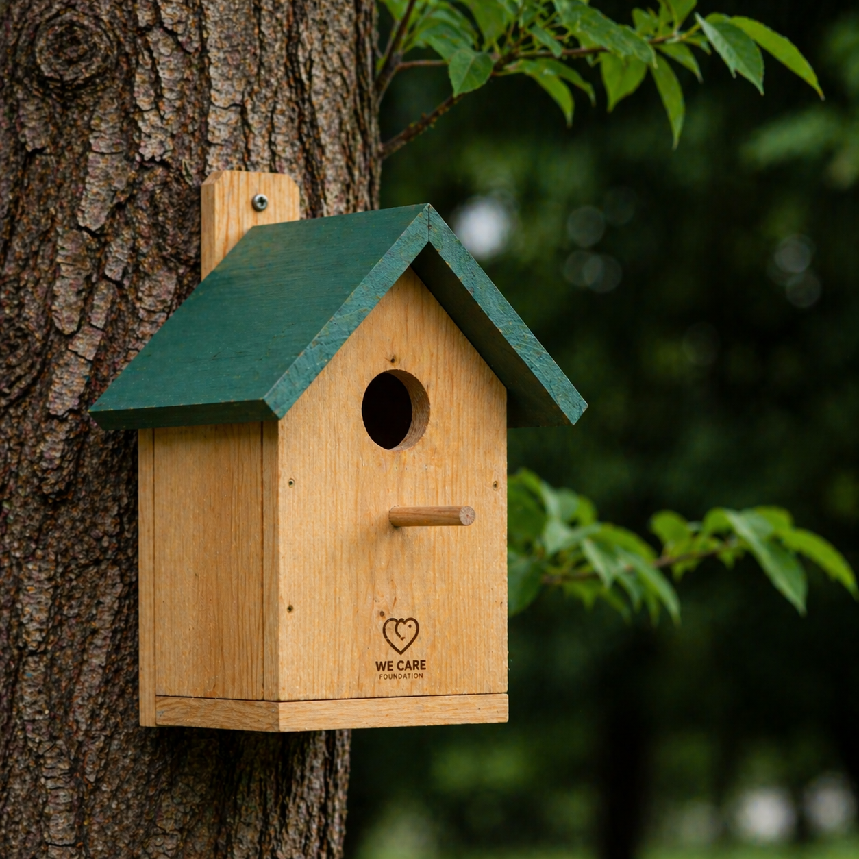 Bird House